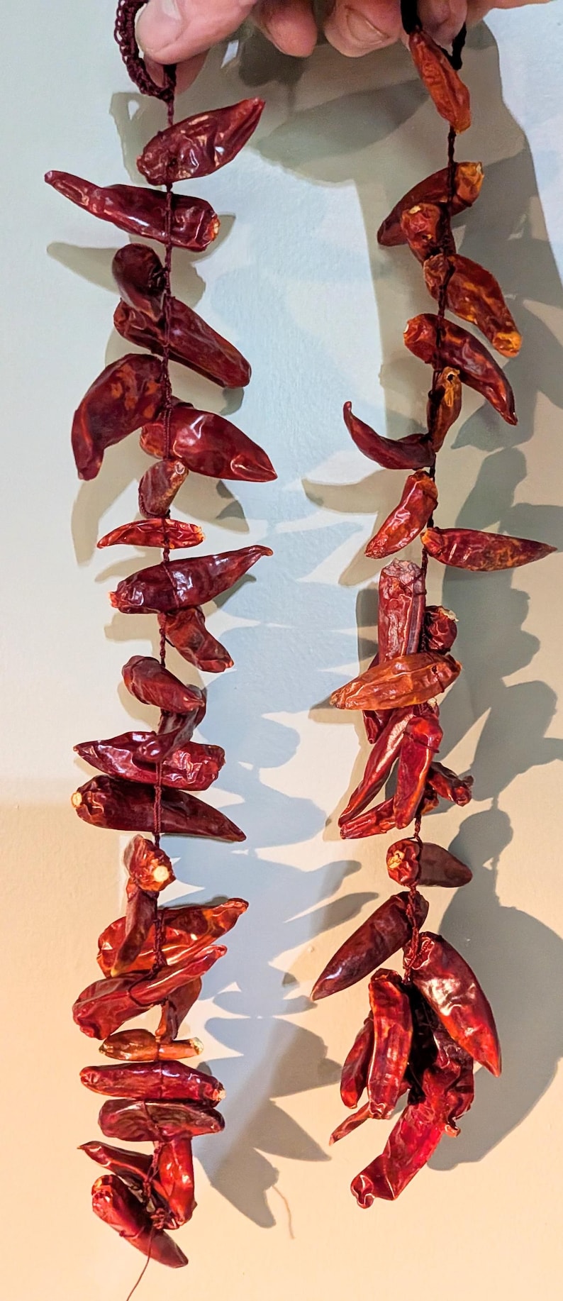 String Peppers Dried Chili Pepper Strand Rustic Farmhouse Garland Hanging Peppers ...