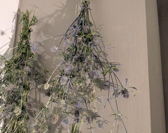 Dried Sea Holly Stems Home Decor Aesthetic Thistle Dried Flowers Bouquet wreaths decor farmhouse  dried craft flowers blue thistle