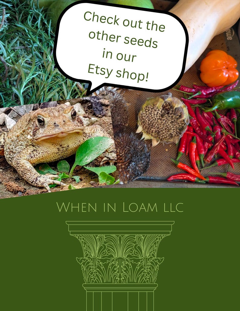 May include: An image featuring a toad, vegetables, and text that reads "Check out the other seeds in our Etsy shop!". The image also includes a sunflower head, red chili peppers, and a green background.