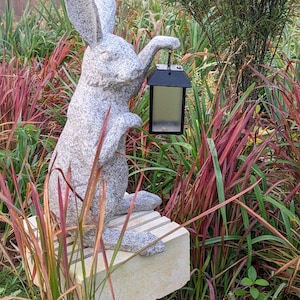 May include: A gray stone rabbit statue holding a black lantern. The rabbit is sitting on a stone pedestal in a garden setting with red and green grasses.