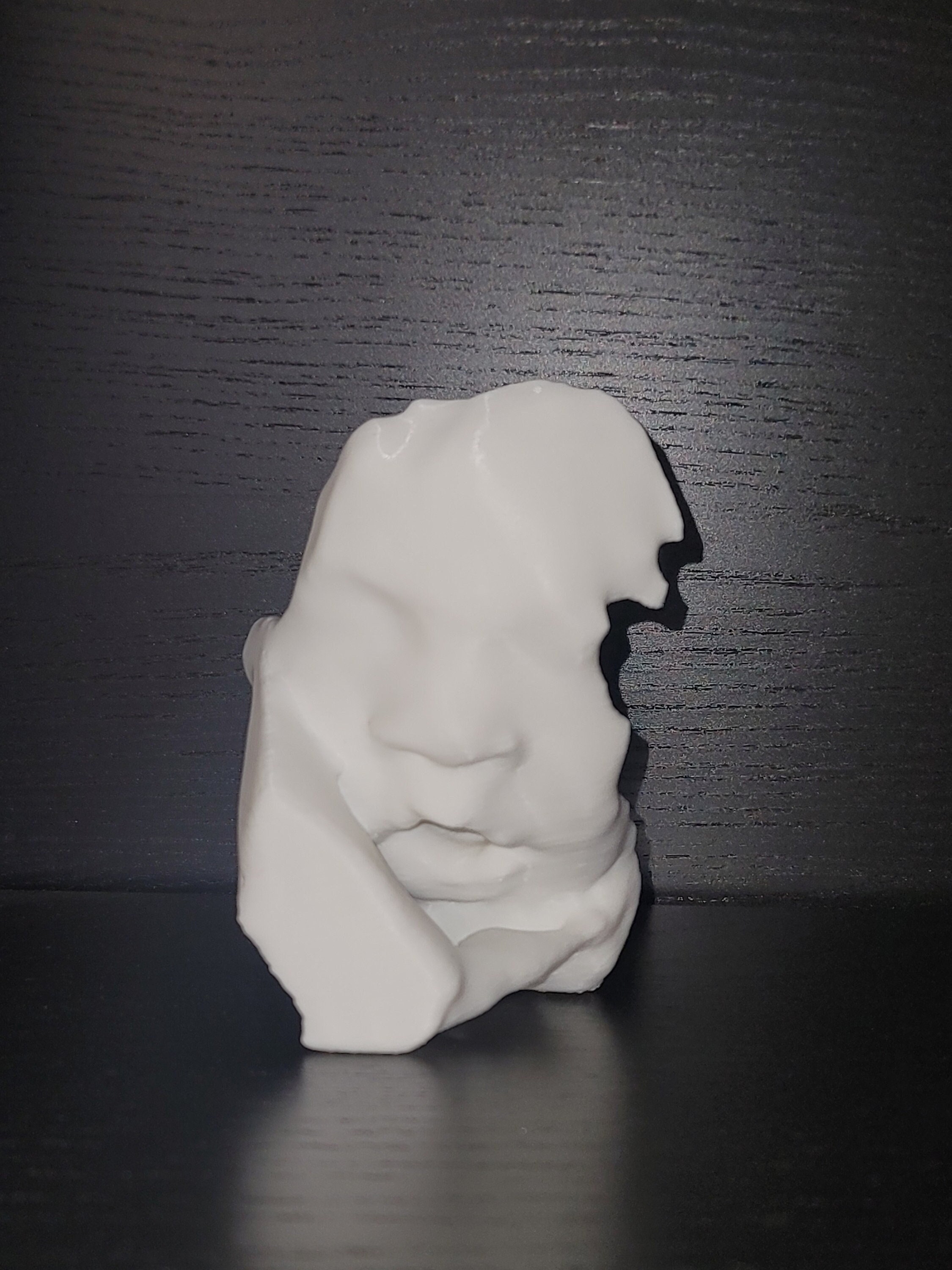 3D Printed Ultrasound