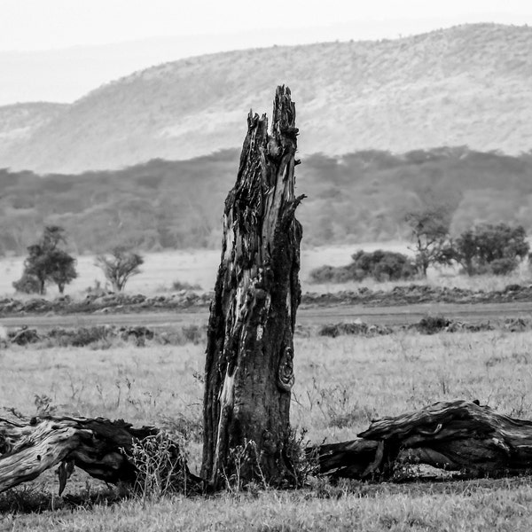 Wildlife at Lake Nakuru, Kenya