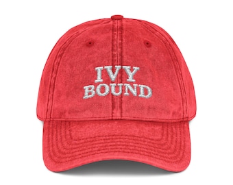 Ivy Bound cap | Embroidered vintage red hat