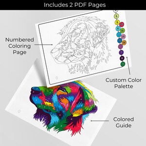 May include: A color-by-number coloring page featuring a dog's head with a numbered outline. The second page shows the completed image with a color palette.