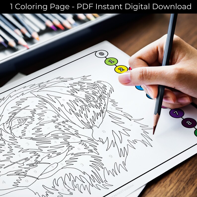 May include: A black and white line art coloring page of a dog's face. The page is numbered with different colors for each section to be colored in.
