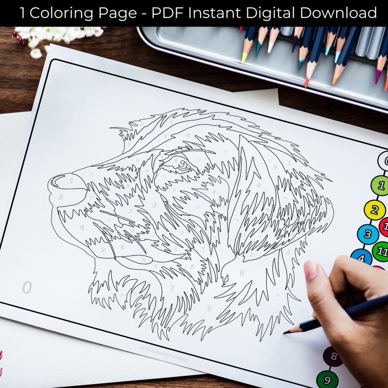 May include: A black and white line art coloring page of a dog's head with numbered sections for a paint-by-number activity. The page includes a color key with numbered circles.