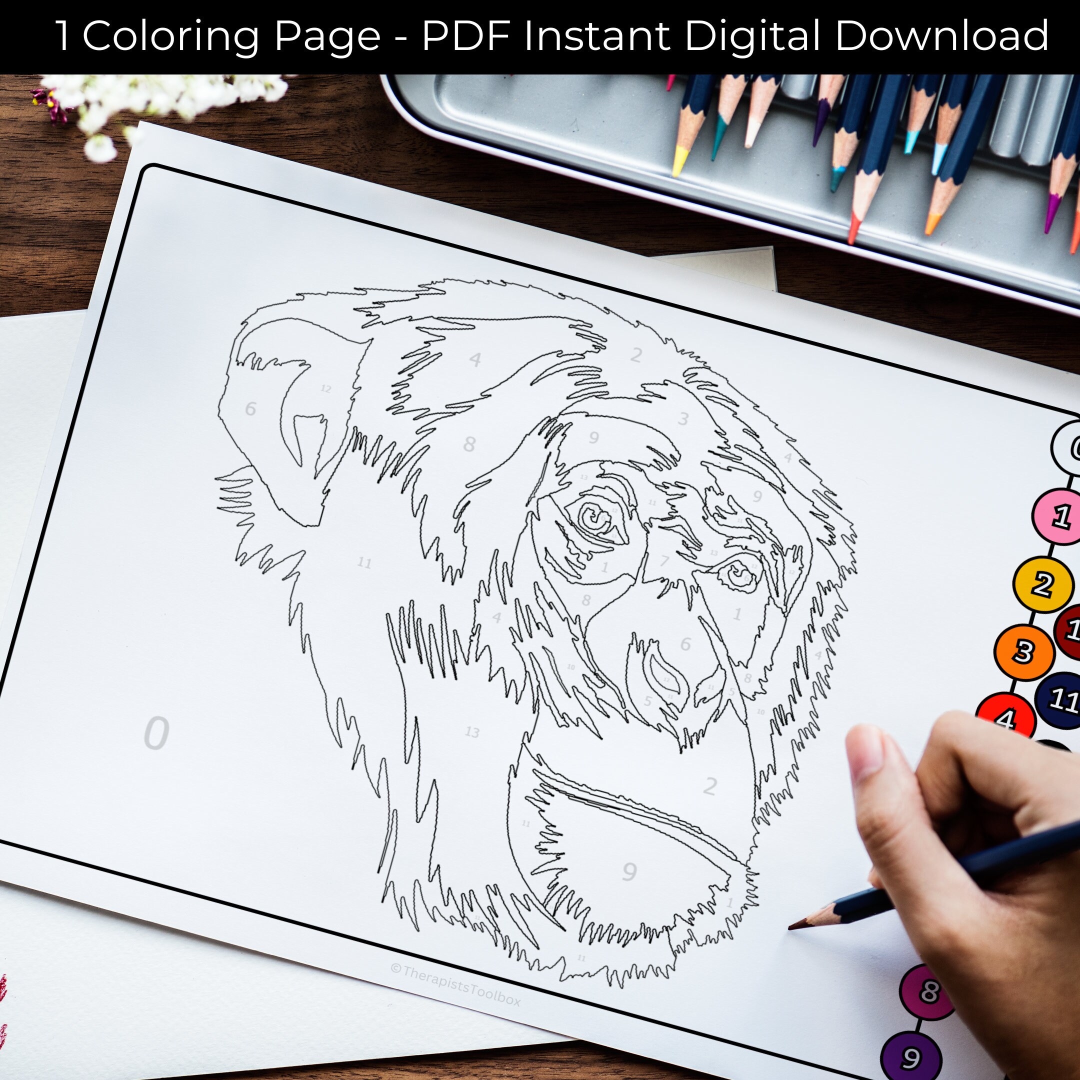 Color by Number: Therapeutic Printable Colorful Chimpanzee Coloring ...