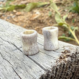 May include: Two small, cylindrical bone plugs with a flared shape. The plugs have a natural, off-white color with brown marbling. They are displayed on a weathered, gray wooden surface, suggesting a rustic or natural aesthetic.