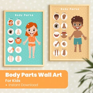 Póster de partes del cuerpo, Pósteres educativos Montessori para niños pequeños, Arte de pared para guardería, Decoración del aula, Recurso didáctico