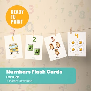 Numbers Flashcards - Educational Montessori Materials - Classroom Decor Count Nomenclature Cards Teacher