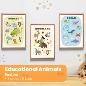 3 Educational Animals Posters - Educational Printable Classroom Decor - Montessori Materials - Jungle / Woodland / Ocean Animals