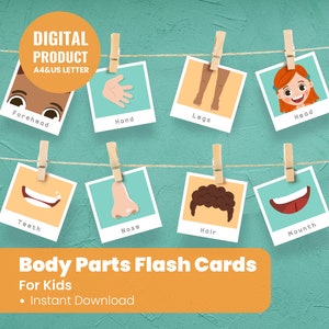 Toddler Flash Cards - Body Parts Cards - Pre-School Cards - Homeschool Montessori Materials - Educational Printable Cards