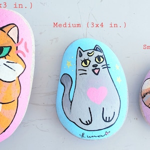 Custom Rock Cartoonish Pet Portraits for Gardens and Decorative Uses