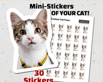 Minipegatinas de gato personalizadas, pegatinas de gato personalizadas con foto, pegatinas de diario, lámina de lindas pegatinas para mascotas, regalo personalizado para amantes de los gatos