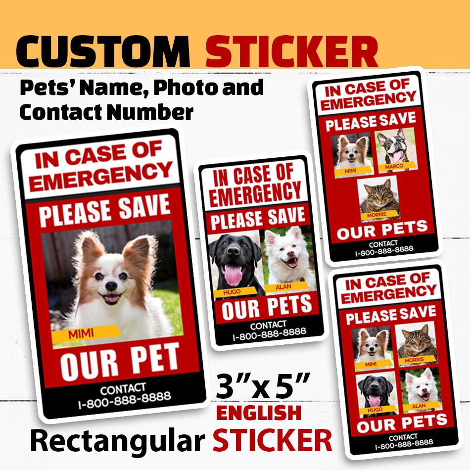 Euthanize a Dog Fighter Canada