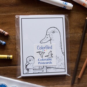 Oiseaux du Sud-Ouest - Cartes postales à colorier - Set 1