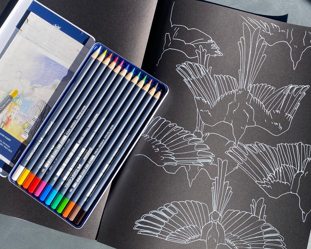 Wild & Wondrous Nature Tour - Black Paper Coloring Book by Nyxbook - Etsy