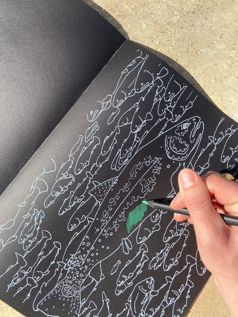 Wild & Wondrous Nature Tour - Black Paper Coloring Book by Nyxbook - Etsy