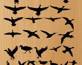 Ente geschnitten Datei, Ente Cricut, Gummiente zwart, Ente Silhouette, Ente Clipart, Ente Vektor, Ente Aufkleber, Ente Cut-Datei, Enten Illustration