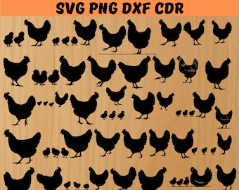 Chicken SVG Bundle, Chicken Vector, Hen Vector, Chicken PNG, Chicken Clipart - digital download svg, png, dxf, svg files for Cricut