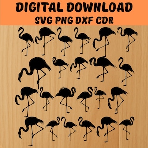 Fish SVG Bundle | SVG Designs | Cricut Silhouette | Digital Download | Svg, Png, Fish Svg, Fish Vector, Fish laser engraver files