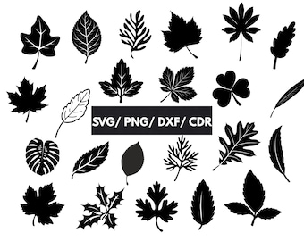 Blätter SVG Bundle, Herbst Blatt SVG, Ahornblatt Png, Blatt Clipart, Herbst Cut Files, Herbst Dxf, Blatt Vektoren, Herbst Blatt Cdr