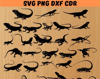 Iguana Eidechse SVG Bundle, sofortiger digitaler Download, PNG, SVG-Schnittdateien, Iguana Laser Engraver Dateien