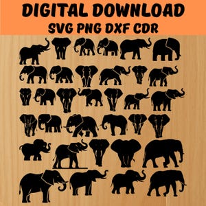 May include: A digital download graphic featuring multiple black elephant silhouettes in various poses. The text "DIGITAL DOWNLOAD SVG PNG DXF CDR" is displayed at the top in black and orange.