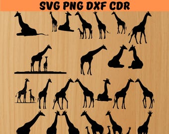 Paquete de archivos SVG de jirafa, paquete de archivos PNG de jirafa, imágenes prediseñadas de jirafa, silueta de jirafa, archivo de corte SVG de jirafa para Cricut, jirafa grabada con láser