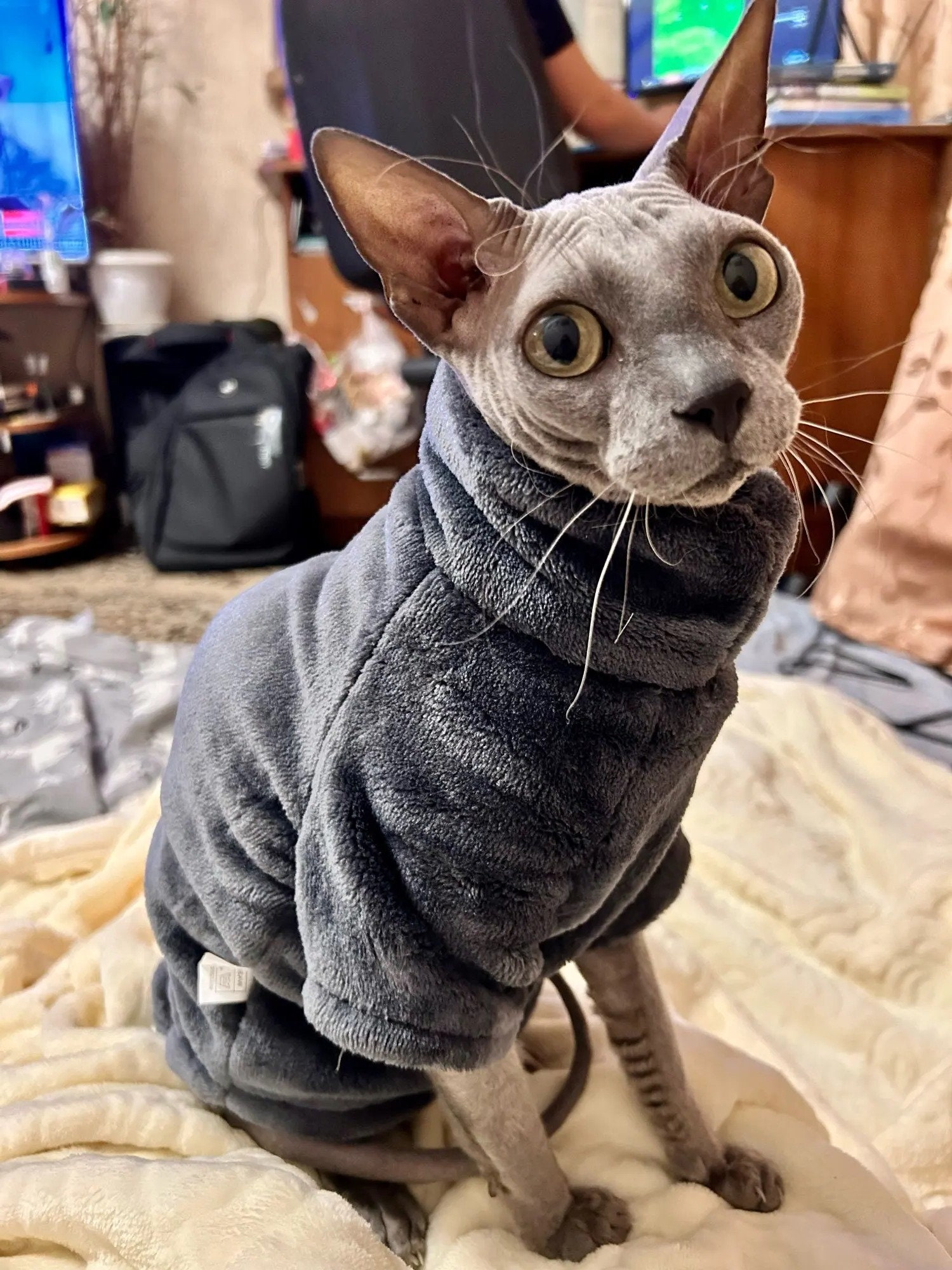 Sphynx Cat Jumper Sphynx Cat Clothes Cat Jumper for Cats Etsy UK