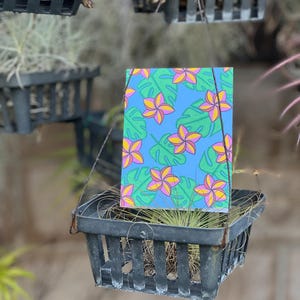 Plumeria et Monstera toutes les cartes de vœux vierges | Tropical lumineux joyeux | Tout Pour une occasion spéciale | Illustré | Amoureux de la nature
