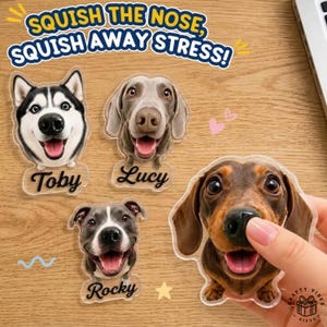 Può includere: Quattro giocattoli antistress a forma di cane con ritratti realistici di animali domestici. I giocattoli sono etichettati con i nomi Toby, Lucy e Rocky. Il testo SQUISH THE NOSE, SQUISH AWAY STRESS! è stampato sopra i giocattoli su legno.