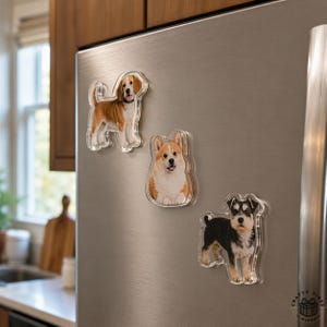 May include: Three clear acrylic refrigerator magnets featuring detailed illustrations of dogs. The top left magnet shows a standing beagle, the centre magnet depicts a corgi, and the bottom right magnet displays a standing black and white schnauzer.