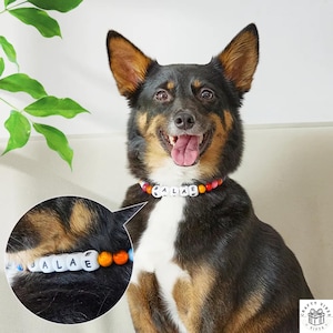 Personalized Beaded Pet Collar: Custom Name, Colorful Dog & Cat Jewelry