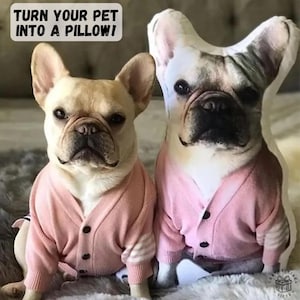 May include: Two French Bulldogs wearing pink jumpers. The text "TURN YOUR PET INTO A PILLOW!" is at the top of the image.