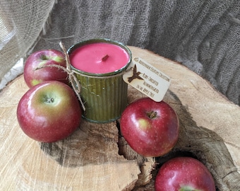 Rustic Apple Scent Wood Wick Hand-Poured Soy Zinc Pot Candle / Engraved Wood Tag with Hummingbird Mini-Tale / Handmade Valentine Gift