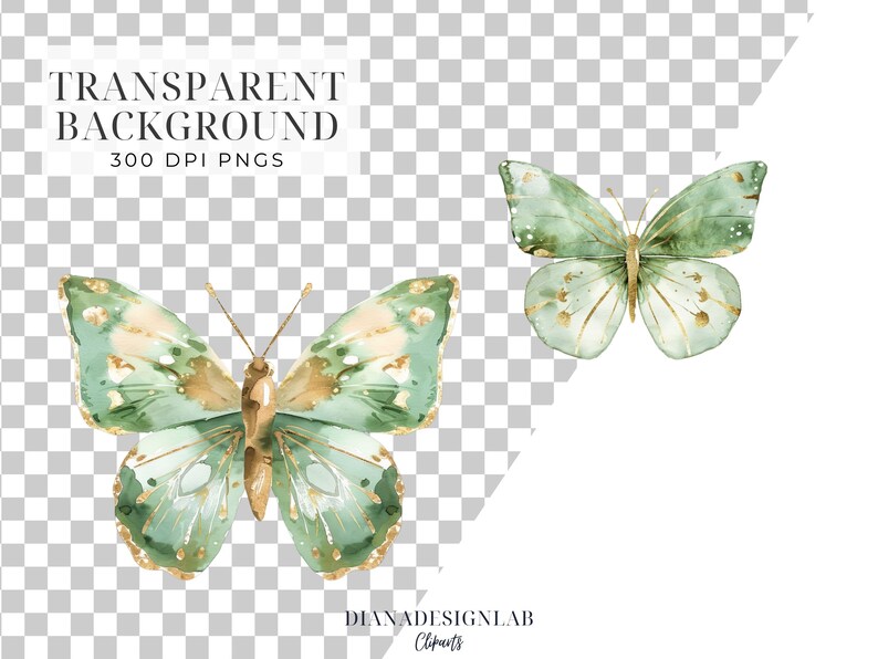 May include: Two green and gold watercolor butterflies with transparent backgrounds.  The butterflies have a delicate, vintage aesthetic.