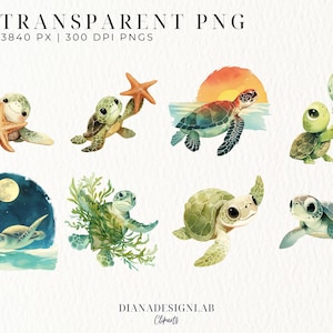 Pu&ograve; includere: Un set di otto illustrazioni ad acquerello di tartarughe marine carine in varie pose. Le tartarughe sono verdi e marroni con occhi grandi. Alcune tartarughe tengono stelle marine, soffiano bolle o nuotano nell'oceano. Le illustrazioni sono perfette per aggiungere un tocco di fantasia a qualsiasi progetto.