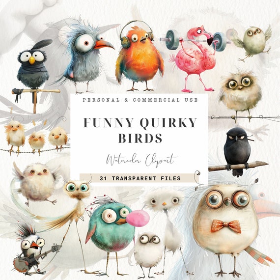Cute Quirky Birds Clipart, Funny Bird Png, Spring Garden Ephemera, Commercial Use, Whimsical Quirky Animals, Nursery Art, Wall Art Kids
