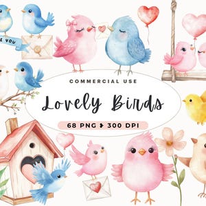 Imágenes prediseñadas de pájaros encantadores, pájaro PNG, creación de tarjetas, San Valentín, uso comercial, diario basura, nido de pájaro con flores, día de San Valentín, pareja romántica