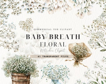May include: Watercolor clipart of baby's breath flowers in various arrangements.  Includes a bouquet, a vase of flowers, and a bucket of flowers.  41 transparent files.  Commercial use clipart.