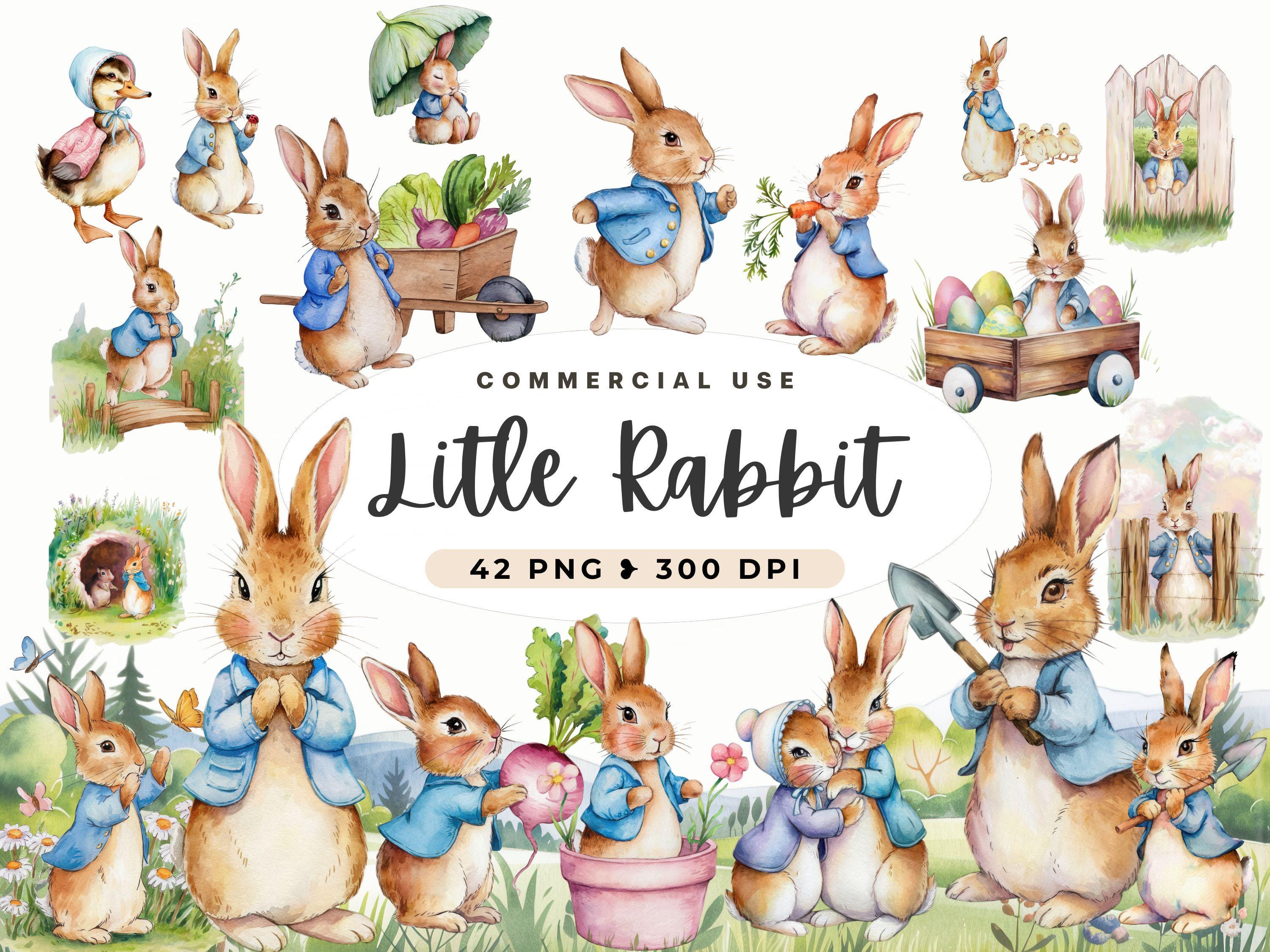 Peter Rabbit Clipart, Baby Shower Design, Diy Card Making, Watercolor Rabbit PNG, Cute Bunny, Beatrix Potter Style, Spring, Junk Journal