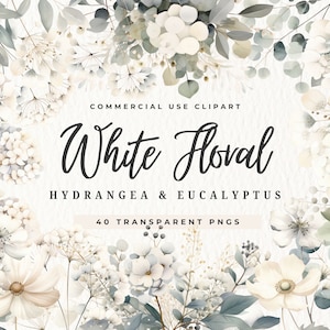 Weiß Blumen Clipart Hortensie Eukalyptus, Hochzeit Clip Art, Botanische PNG, Vorgefertigter Blumenstrauß, Blumenkranz, Grün Clipart