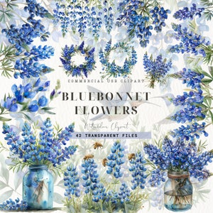 Clipart Bluebonnet dell'acquerello, fiori di campo, creazione di cartoline, fiori dello stato del Texas, fiori blu, Bluebonnets, download digitale, uso commerciale