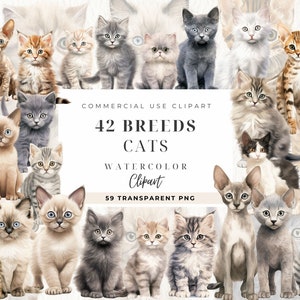 Clipart race de chat, illustrations de chats à l'aquarelle, 42 races, scrapbooking png, portraits de chats, sublimation de chat, chats Cricut art, chaton