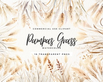 Pampasgras Clipart, Aquarell Blumen, Boho Blumen, Sommer Frühling, getrocknete Blume, Dschungel Braut, Perle Clipart, Hochzeit einladen, kommerziell
