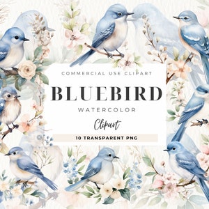 Bluebird clipart, Instant Download, kaart maken, commercieel gebruik, nieuwe baby, Bluebird PNG, kinderkamer kunst, lente aquarel, Floral PNG