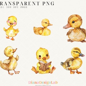 May include: Set of six watercolor illustrations of cute yellow ducklings. The ducklings are in various poses, including sitting, standing, and reading a book. The illustrations are perfect for adding a touch of whimsy to any project.