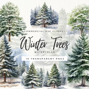Acquerello Winter Garden Clipart, PNG di alberi invernali, ClipArt di Natale, Pino Abete, Albero di Natale png, Scrapbooking, Uso commerciale