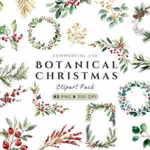 Aquarell Weihnachten botanische Clipart, Aquarell Blumen, Winter Greenery Border, Weihnachts Bundle, Holly Beeren, Winter Dekor, Karte